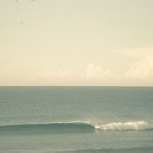 foodresults's profile picture. 