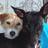 PatriciaJones26's profile image