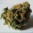 smokingood8's profile image