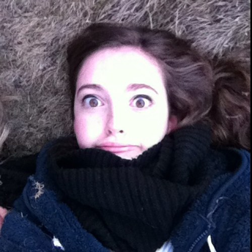 hallohelloh's profile picture. 