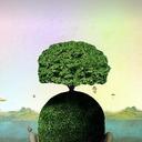 Graham Wise - @wise_graham - Twitter