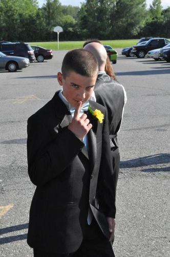 Sir_Snuggles's profile picture. 