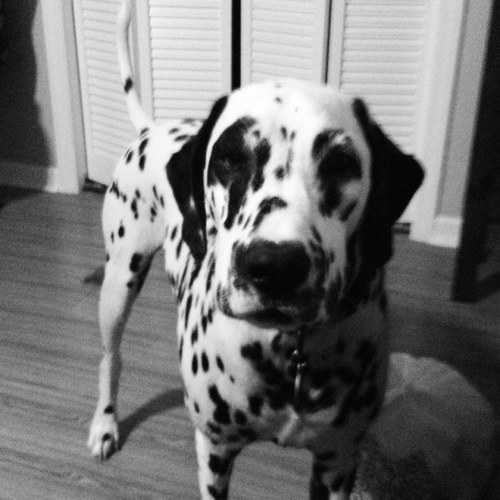 sjeep08's profile picture. 