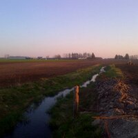 Kristen Fischer (@shortykristenf) 's Twitter Profile