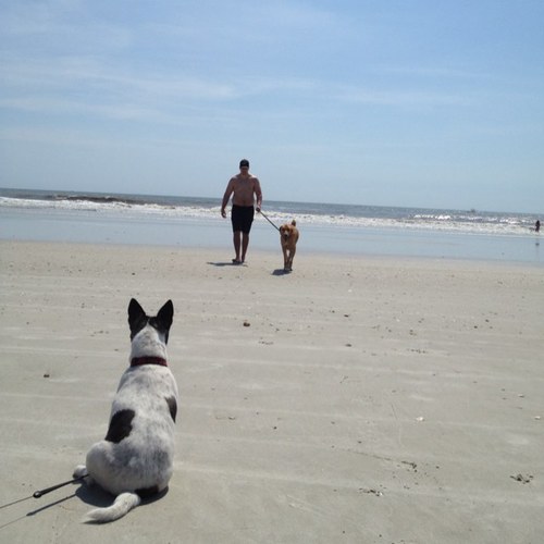 TheMrVolk's profile picture. 