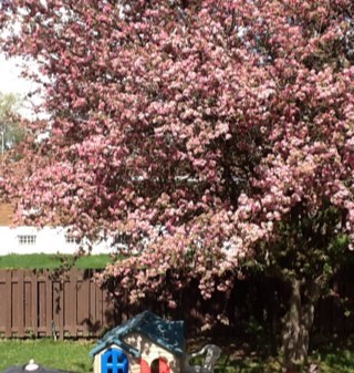 laurahodgesmtl's profile picture. wife to the best dj in mtl @djshaneo mother to three amazing kids, i love being a stay at home mom.