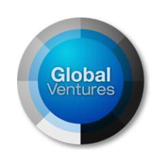 Global Ventures owns a premium network of 22,000 premium electronic corporations, a stakeholder model and powerful tools to help build, manage and monetize succ