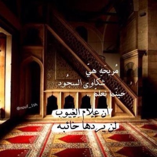 اللهم اغفرلي ولوالدي ولمن دخل بيتي مؤمناً وللمومنين والمؤمنات ولاتزد الضالمين الآ تبارا