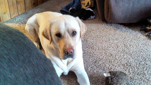 timetowork1986's profile picture. 