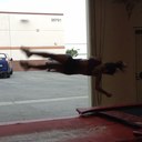 lexi rose dunham - @DunhamLexi - Twitter