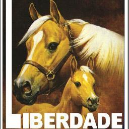 Parq. de vaquejada, localizado na cidade de Limoeiro/PE, com uma mega estrutura.