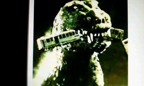 snakeskincowboi's profile picture. If you ain't smiling, you ain't doin' it right