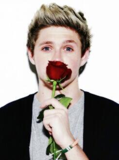 The official fanbase of Team Niall James Horan from Indonesia.