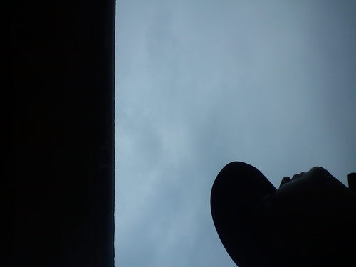 rengosauriorg's profile picture. escritor erótico, amante del sexo, nací siendo lo que soy, no puedo cambiar.