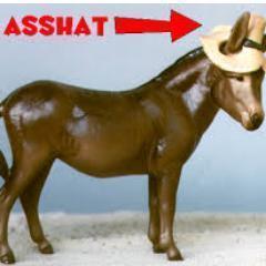 Daeg420's profile picture. My literacy parrot Louie reads Twitter to me. My responses are typed by Bobo the helper chimpanzee. possibly sarcastic.