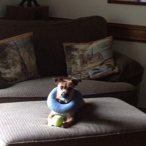 AllisonCoffee84's profile picture. 