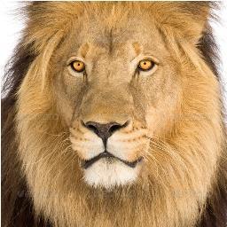 jedi_EF's profile picture. Malaysian domestic property news and insights.