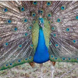 We arrange Tours In Sri Lanka
http://t.co/ohvGRHc4uF
tjtravelsjeewan@gmail.com
USA BRANCH  +17023288614
SRI LANKA- +94778911329
AUSTRALIA +61421925565