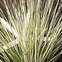 Sailaway19's profile picture. 