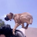 Bethany Castillo - @motherberth - Twitter