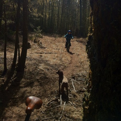 charlesn50's profile picture. 