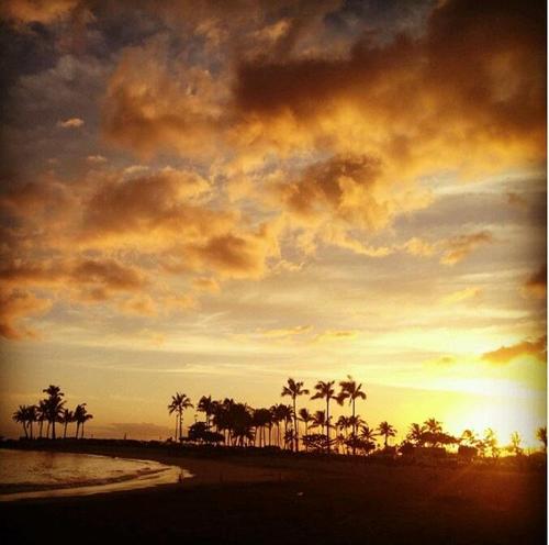 cof4441's profile picture. 