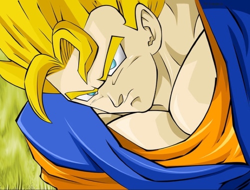 I am Vegito, the most powerful being in the Universe. If you do evil, you will fall at my hands. #Roleplay #Parody #DBZRP #TweetGroup