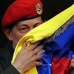 AGUILA NO CAZA MOSCAS