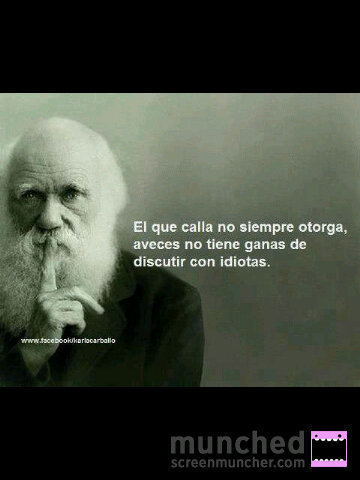 berlinaregalado's profile picture. Madre, esposa,trabajadora incansable, lectora,