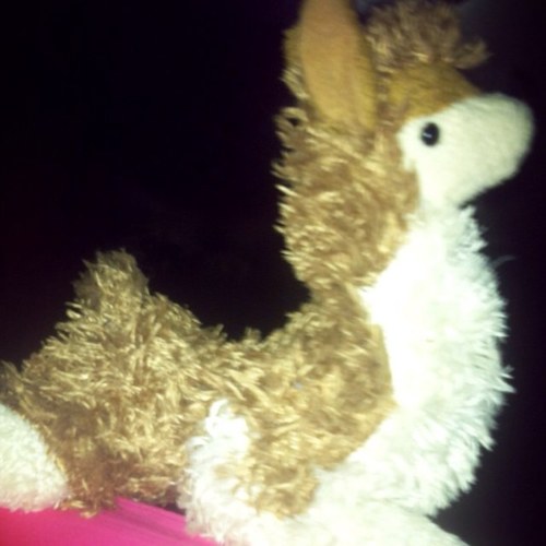 fak llamas eat weedz