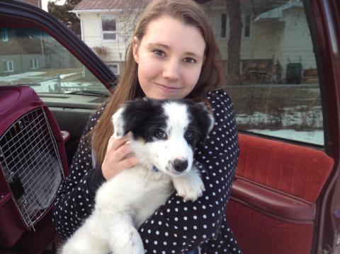 amysloaner's profile picture. forever wheels