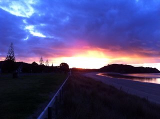 gayelicol's profile picture. 