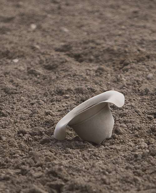 stockyty's profile picture. 