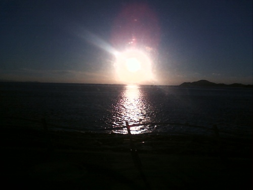 imhongju's profile picture. 좋은 하루되세요.