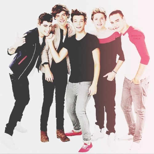 One direction fanbase!