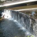 jacquelyn mcbride - @jackimcbride - Twitter