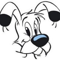 Idéfix ن (@idefix_spqr) 's Twitter Profile Photo Idéfix ن (@idefix_spqr) 's Twitter Profile Photo