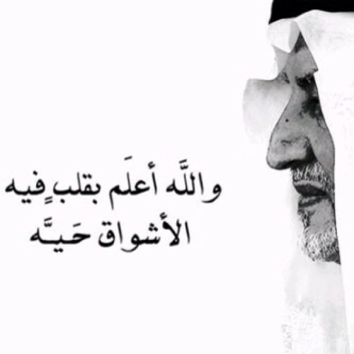 b_d_222's profile picture. 