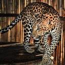 Tim Dobson - @TimCDobson - Twitter