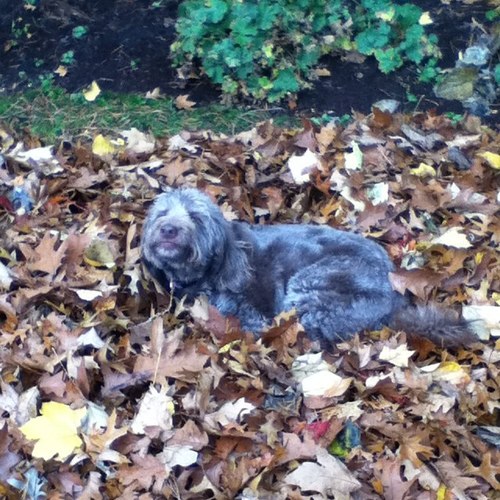 SamCooney8D's profile picture. My name is Sam.