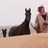 MZMtamimi's profile image