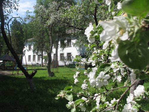 4sad4's profile picture. 