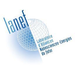 Le labex grenoblois d'Alliances pour les Nanosciences et les Energies du Futur