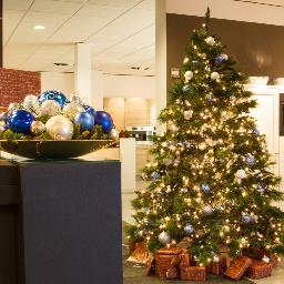 Specialist in het verhuren en leveren van exclusieve Kunst kerstbomen, guirlandes, kransen en kerstdecoraties in geheel Nederland
