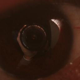 RavensLog's profile picture. coffeeholic problem solving picture taking cyclist that would rather be fishing right now...