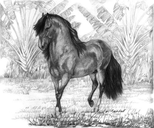Mis hijas & mis caballos.... Mi pasion!