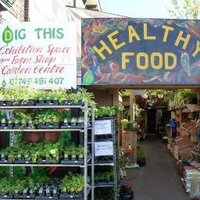Dig This Nursery (@digthisnursery) 's Twitter Profile