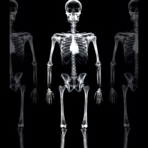 NeSyo1205's profile picture. 白樺 3年 陸上 AK-69/EXILE/3JSBすきです。