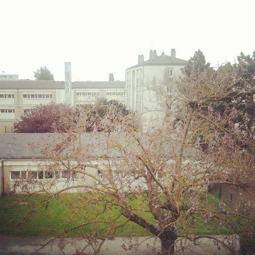 BilouAnnabi's profile picture. Mouahh j'ai.16ans 100% followbak #LaTimide