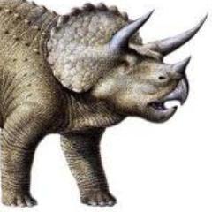Me gusta la tecnología, la seguridad y la programación para móviles. Intereses: Android, GNU/Linux, seguridad y todo lo relacionado con informática.